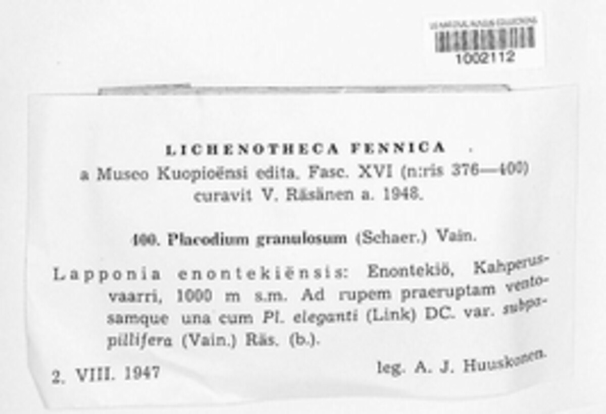 Flavoplaca granulosa image